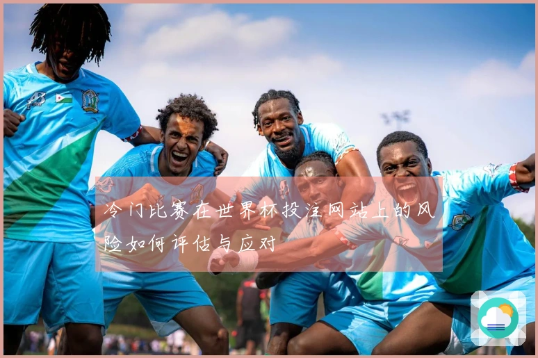 冷门比赛在世界杯投注网站上的风险如何评估与应对