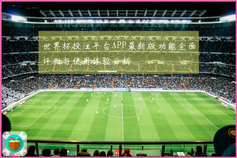 世界杯投注平台APP最新版功能全面评测与使用体验分析