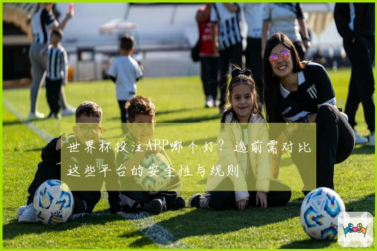 世界杯投注APP哪个好?选前需对比这些平台的安全性与规则