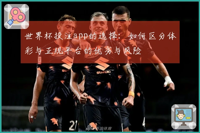 世界杯投注app的选择：如何区分体彩与正规平台的优劣与风险