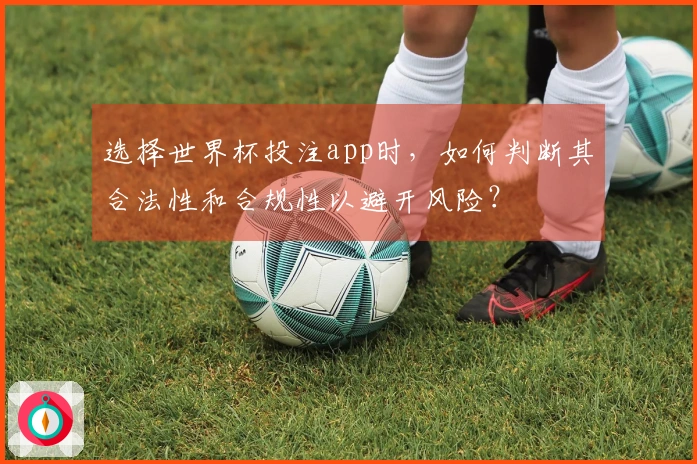 选择世界杯投注app时，如何判断其合法性和合规性以避开风险？