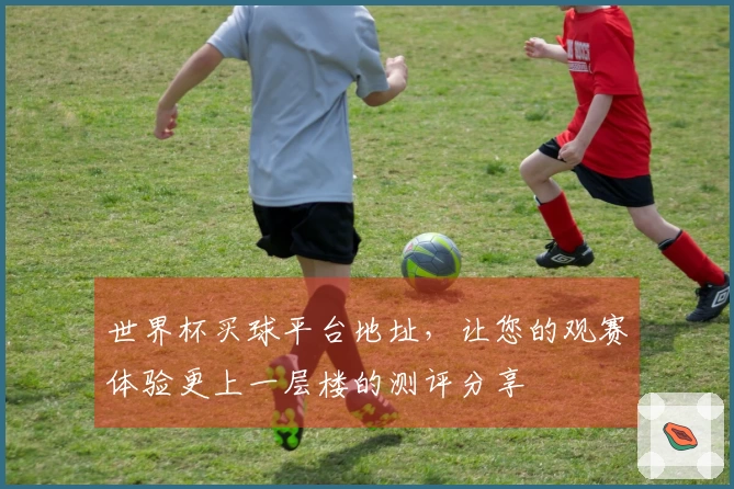世界杯买球平台地址，让您的观赛体验更上一层楼的测评分享