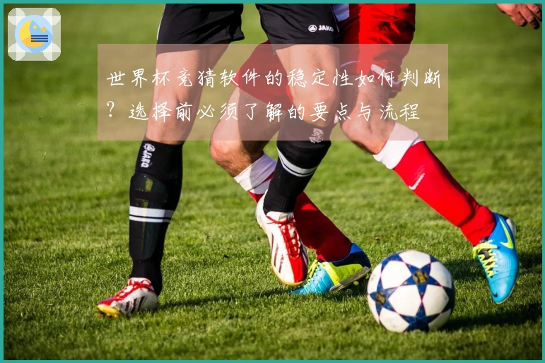 世界杯竞猜软件的稳定性如何判断？选择前必须了解的要点与流程