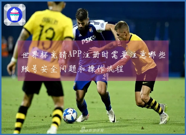 世界杯竞猜APP注册时需要注意哪些账号安全问题和操作流程