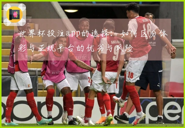 世界杯投注app的选择：如何区分体彩与正规平台的优劣与风险