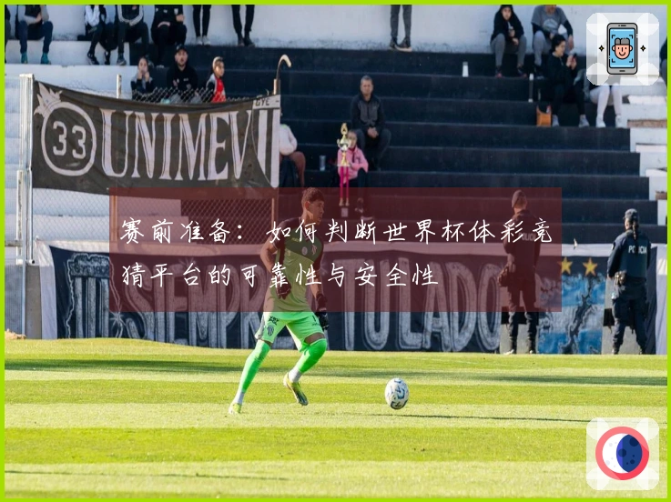 赛前准备：如何判断世界杯体彩竞猜平台的可靠性与安全性