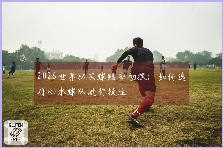 2026世界杯买球赔率初探：如何选对心水球队进行投注