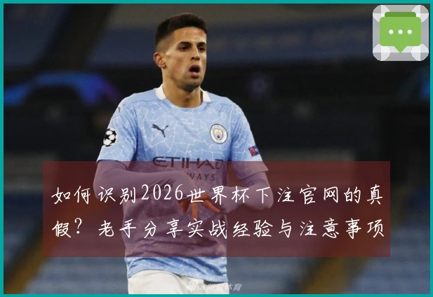 如何识别2026世界杯下注官网的真假？老手分享实战经验与注意事项