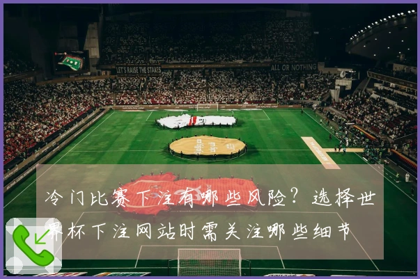 冷门比赛下注有哪些风险？选择世界杯下注网站时需关注哪些细节