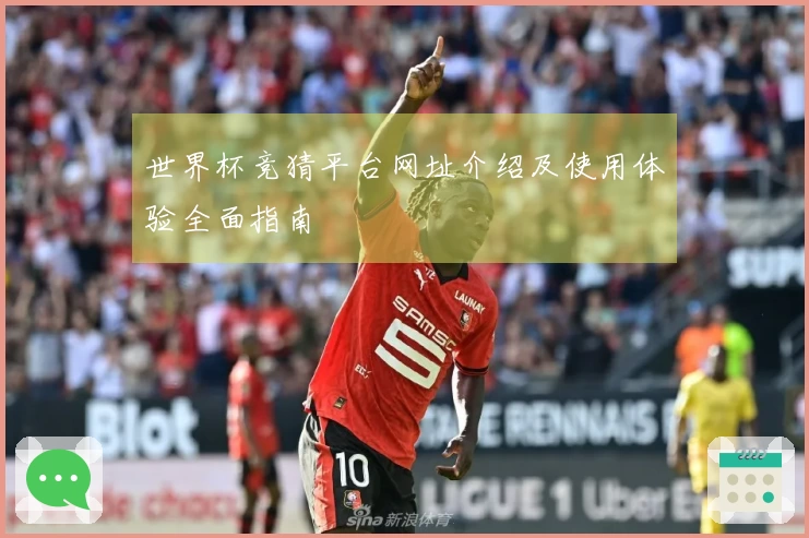 世界杯竞猜平台网址介绍及使用体验全面指南