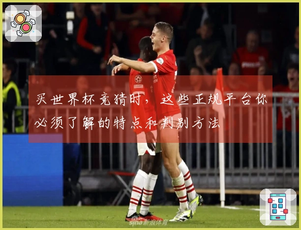 买世界杯竞猜时，这些正规平台你必须了解的特点和判别方法