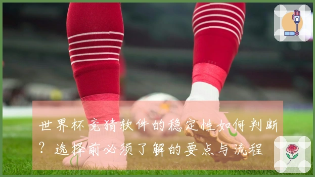 世界杯竞猜软件的稳定性如何判断？选择前必须了解的要点与流程