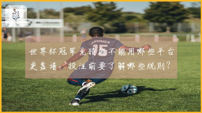 世界杯冠军竞猜能不能用哪些平台更靠谱，投注前要了解哪些规则？