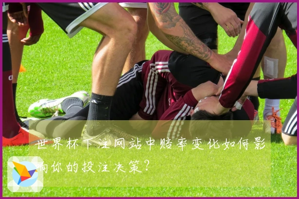 世界杯下注网站中赔率变化如何影响你的投注决策？